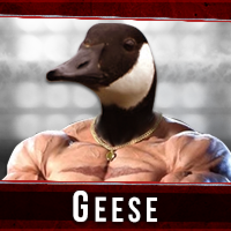 T7_S3 - Geese 2 v2